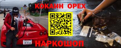 МДПВ Кингисепп