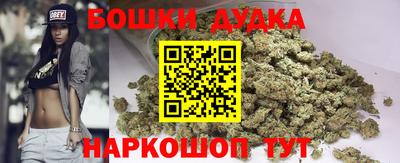 МДПВ Кингисепп